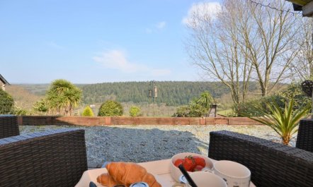 1 Bed in Gunnislake 2