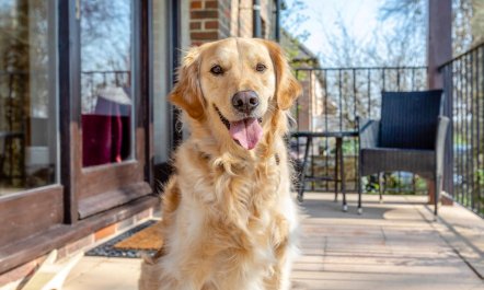 2 Bed in Dorchester 3