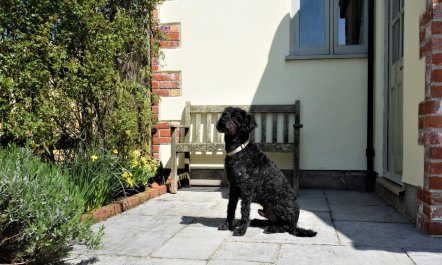 2 Bed in Warminster 1