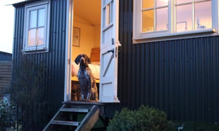 1 Bed in Ammanford 7