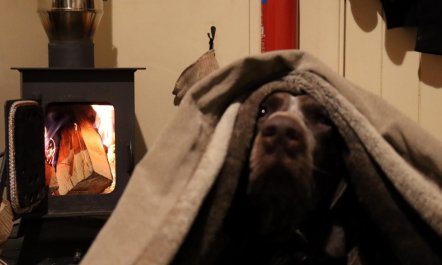 1 Bed in Ammanford 4