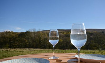 1 Bed in Ammanford 8