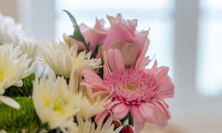 2 Bed in Ilfracombe 4