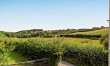 1 Bed in Torrington 4
