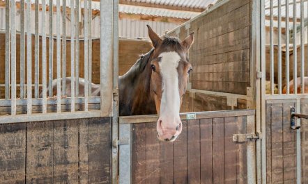 1 Bed in Pett Level 7