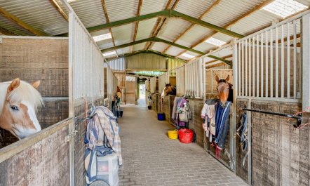 1 Bed in Pett Level 8