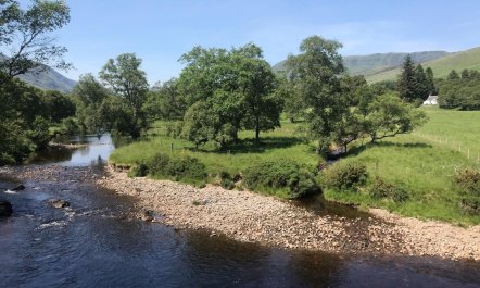 2 Bed in Kirriemuir 5