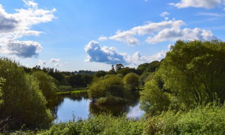 3 Bed in Tavistock 1