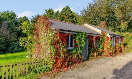 1 Bed in Kingsbridge