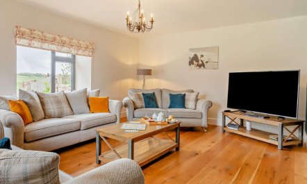 5 Bed in Wellington 7