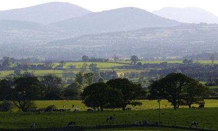 1 Bed in Penrith 9