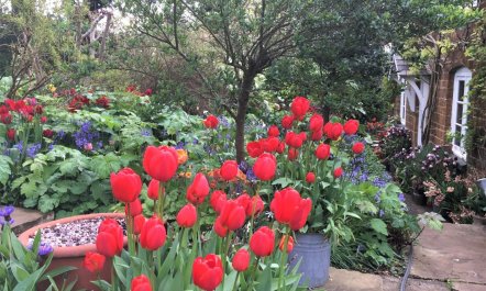 2 Bed in Chipping Norton