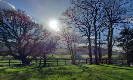 6 Bed in Aberystwyth 8