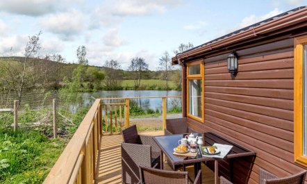 2 Bed in South Brent 1