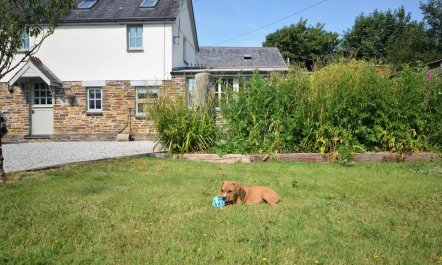 3 Bed in St. Columb 2