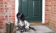 2 Bed in Dereham 1