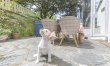 3 Bed in Fowey 9