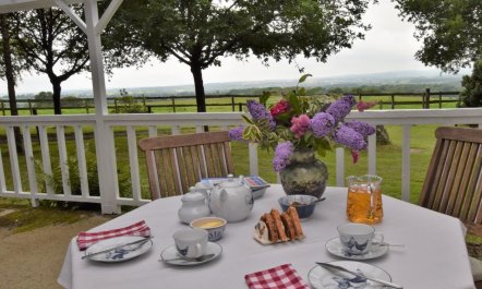 1 Bed in Shaftesbury 8