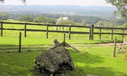 1 Bed in Shaftesbury 9