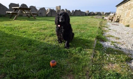 1 Bed in St Buryan 1