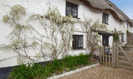 3 Bed in Kingsbridge 3