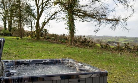 4 Bed in Llandysul 1