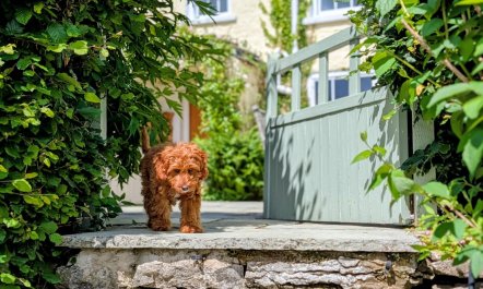 5 Bed in Kendal 1