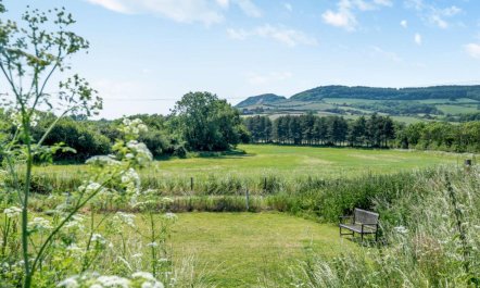 3 Bed in Bridport 2