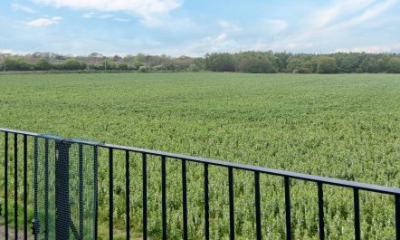 2 Bed in Morpeth 8
