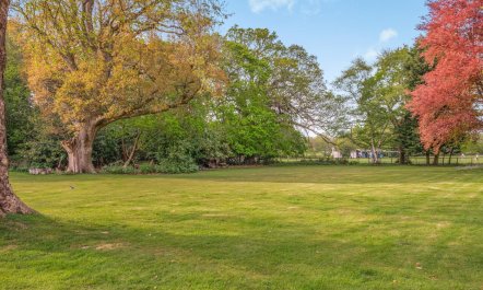 4 Bed in Lyndhurst 3