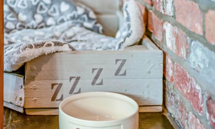 1 Bed in Buckland Brewer 6