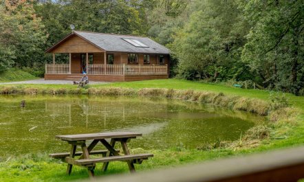 2 Bed in Holsworthy 1