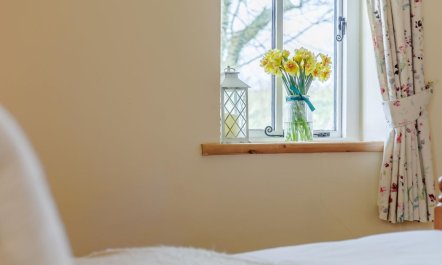 1 Bed in Bideford 6