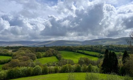 3 Bed in Llangadog 4