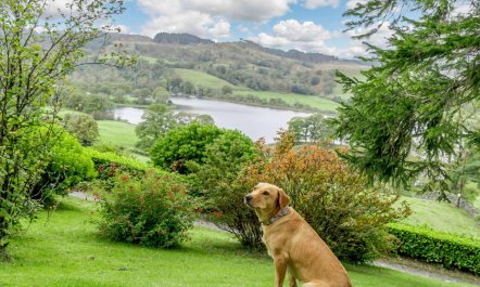 4 Bed in Hawkshead 4