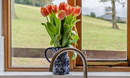 1 Bed in Abergavenny 8