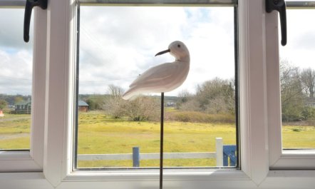 1 Bed in Carmarthen 5