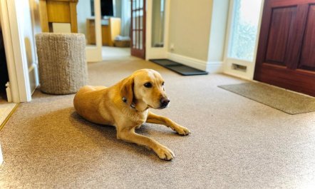 2 Bed in Windermere 2