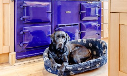 5 Bed in Blairgowrie 6