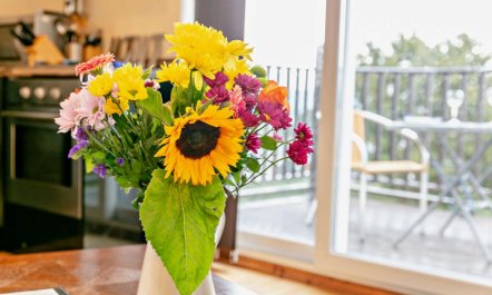 1 Bed in Barnstaple 5