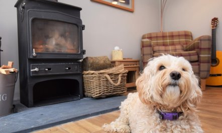 4 Bed in Barnstaple 3