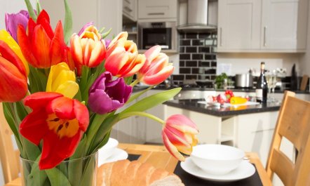 1 Bed in Castle Douglas 8