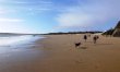 2 Bed in Tenby 8