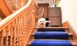 7 Bed in Moffat 8