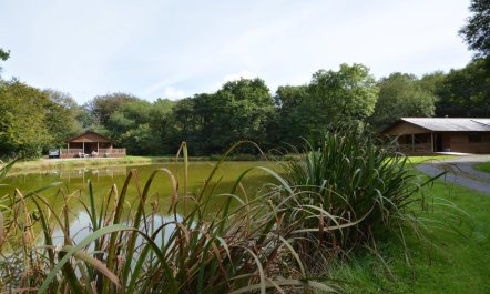 2 Bed in Holsworthy 1