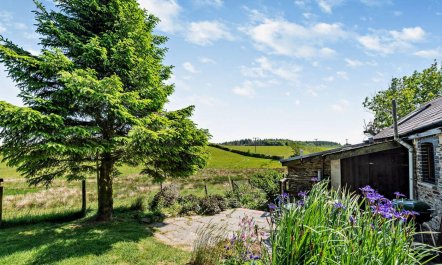 2 Bed in Carmarthen 1