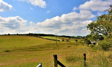 2 Bed in Carmarthen 7