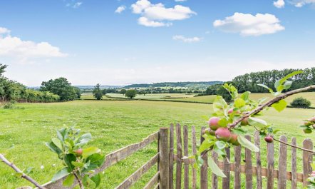 1 Bed in Bitterley 5