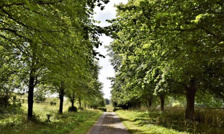 1 Bed in Dorchester 6