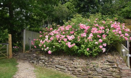 2 Bed in Bridgwater 2